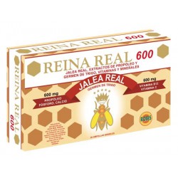 REINA REAL 600 20 AMP 10ML